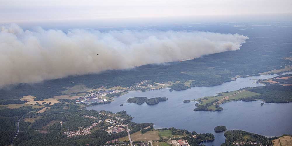Skogsbrand sedd från luften